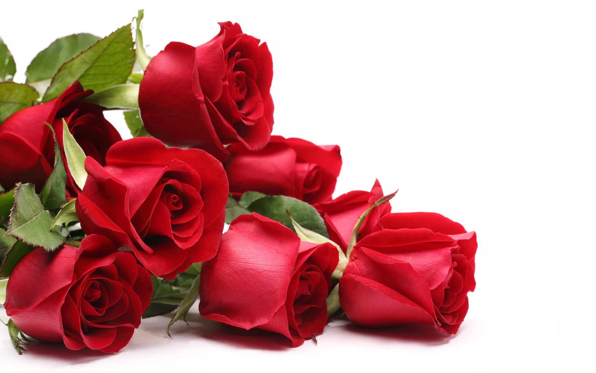 Поздравления С Днем Цветка Розы