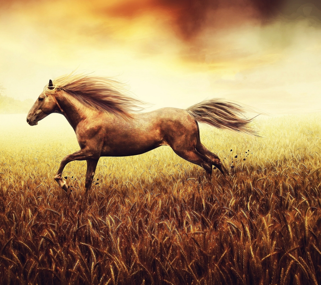 Лошадь в пшеничном поле
