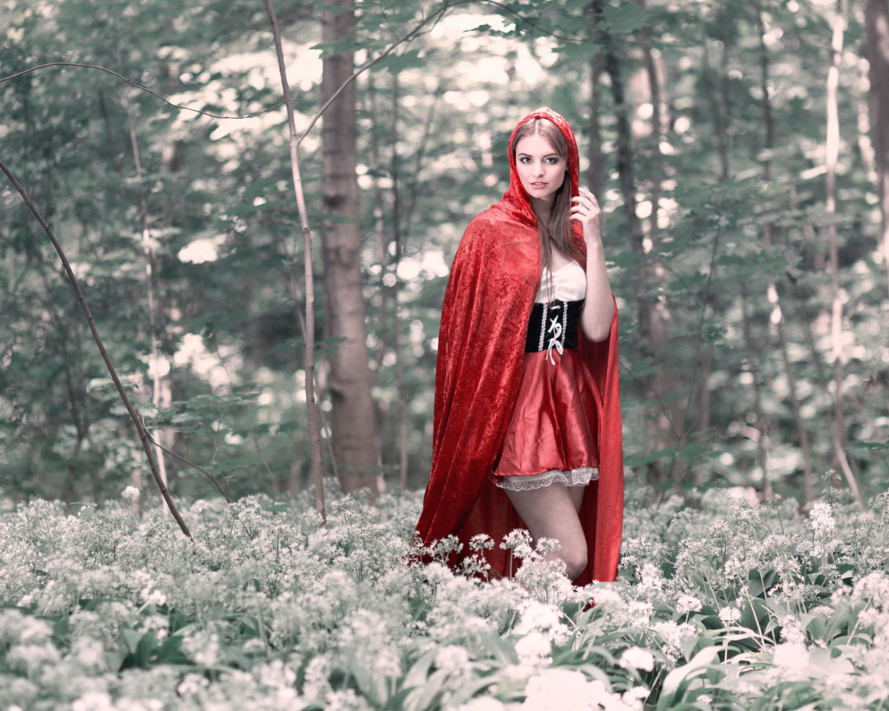 Скачать обои лес, красная шапочка, Red Riding Hood, Cosplay, раздел девушки в разреше...