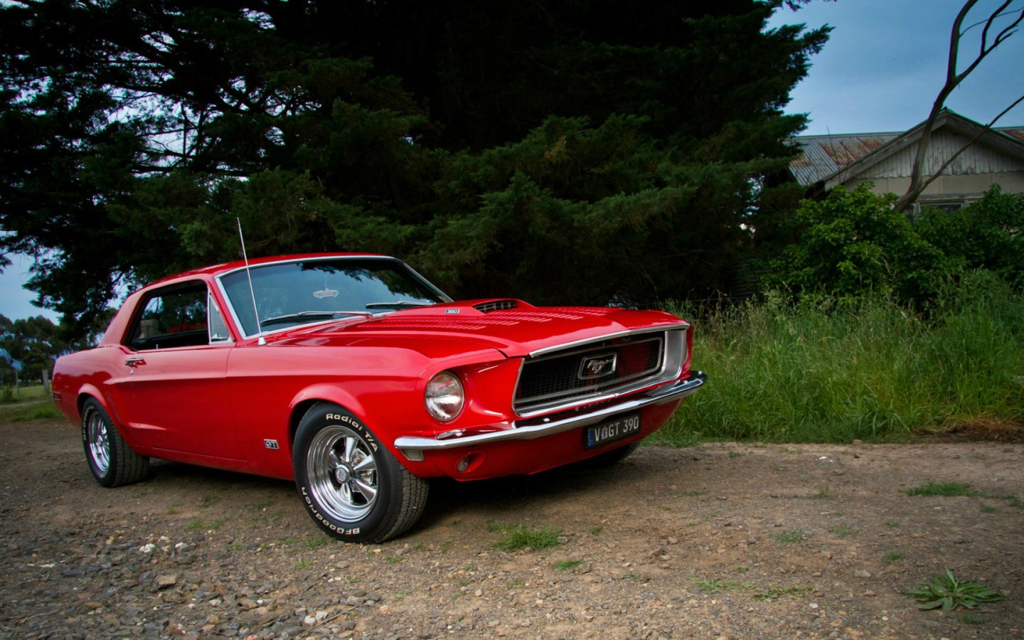 เปิดตำนาน 50 ปีของ Ford Mustang ต้นตำรับ Muscle Car พันธุ์ ...