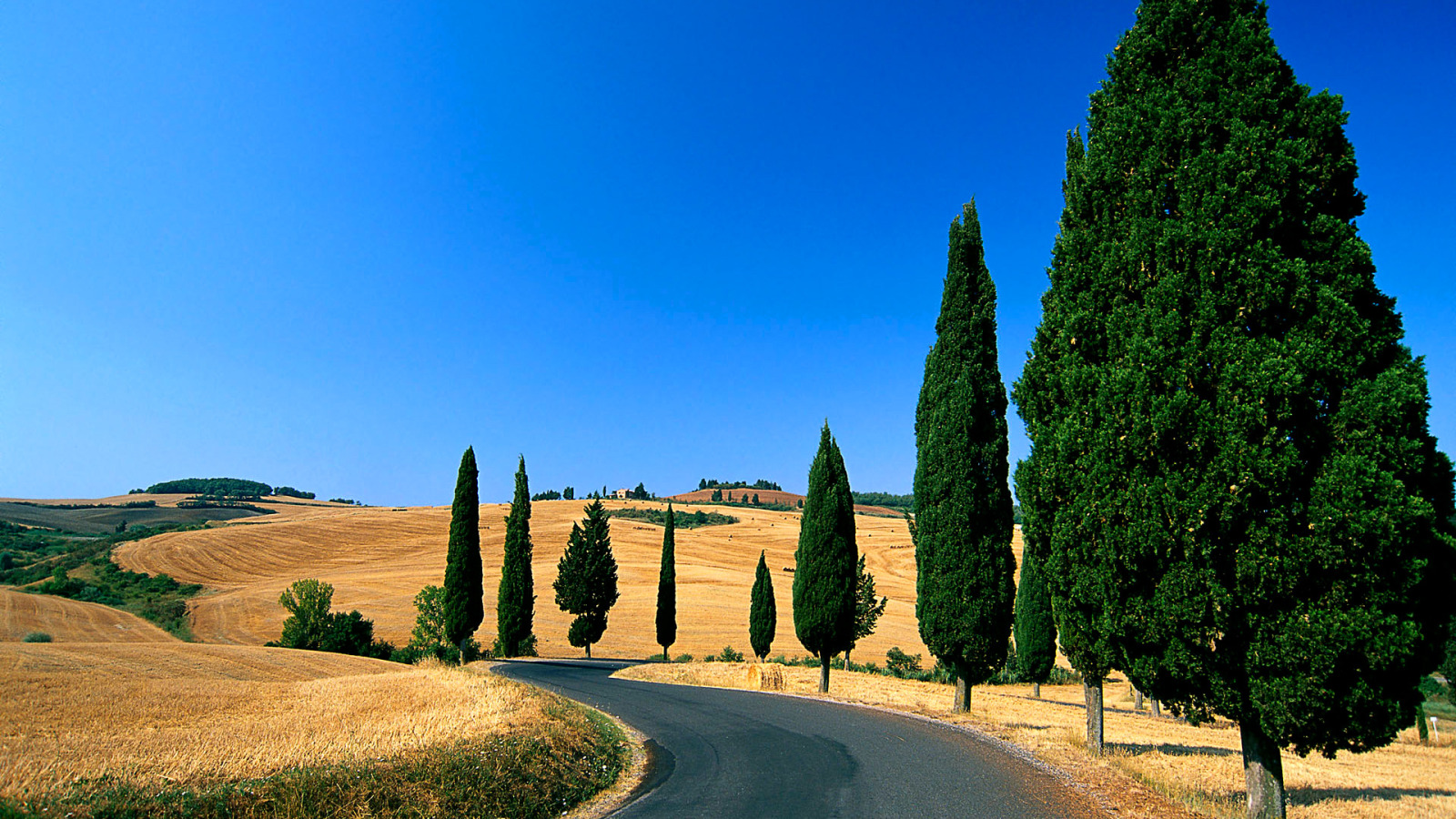 Обои для рабочего стола. дорога, небо, деревья, холмы, поля, Италия, Тоскан...