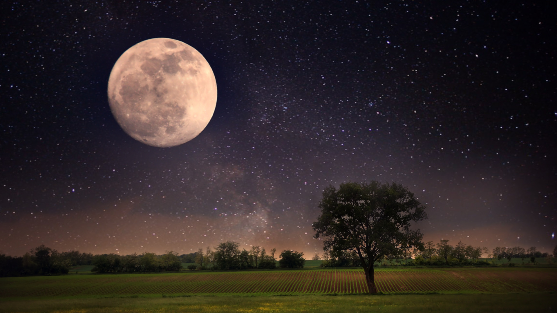 Звёздное небо и космос в картинках - Страница 15 Moon-night-landscape-stars