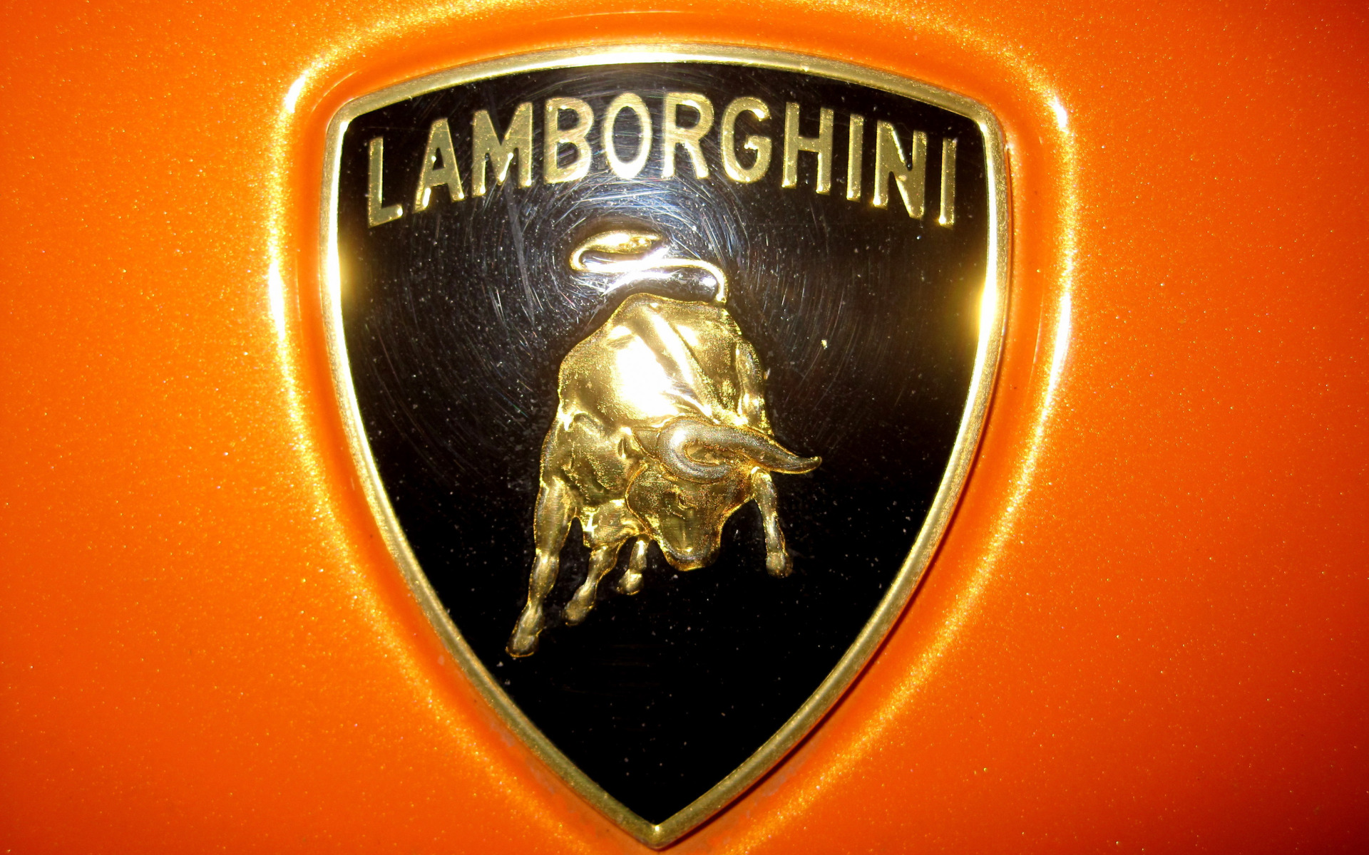 логотип эмблема lamborghini