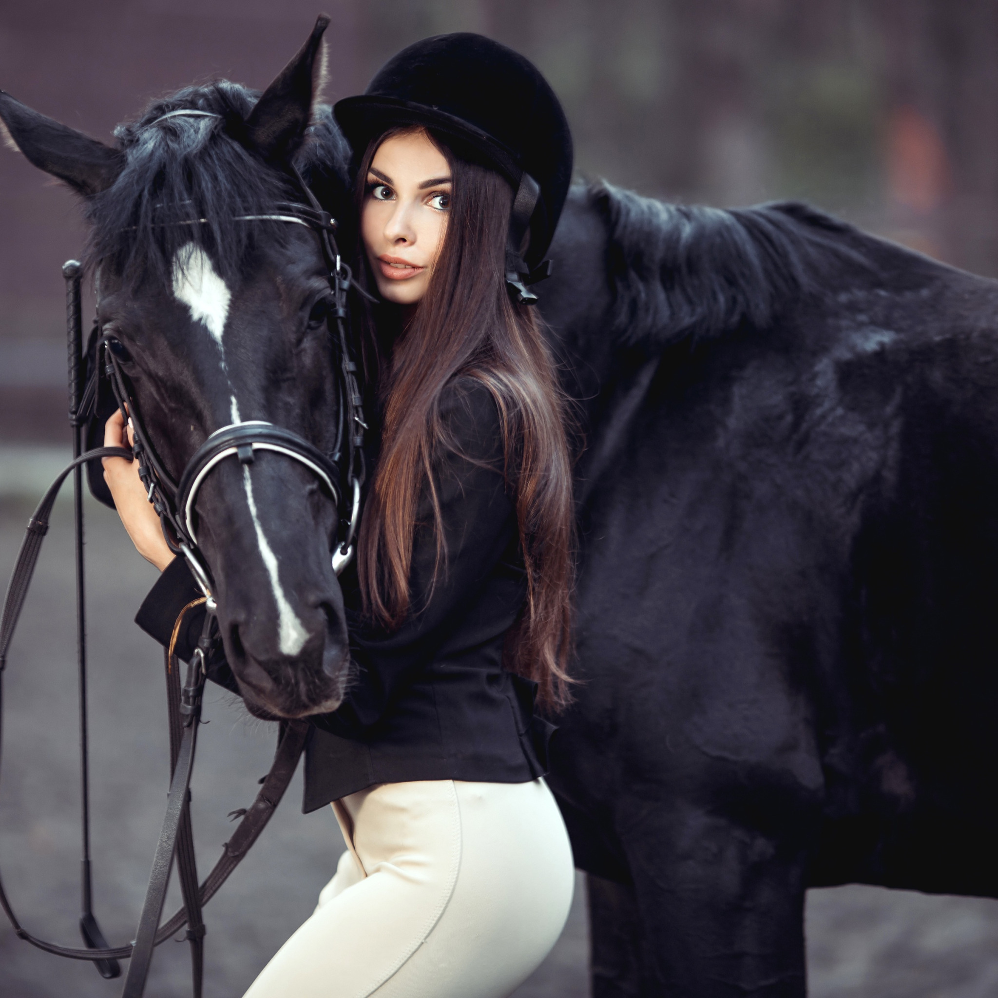 Анджелина джоли фото с лошадью