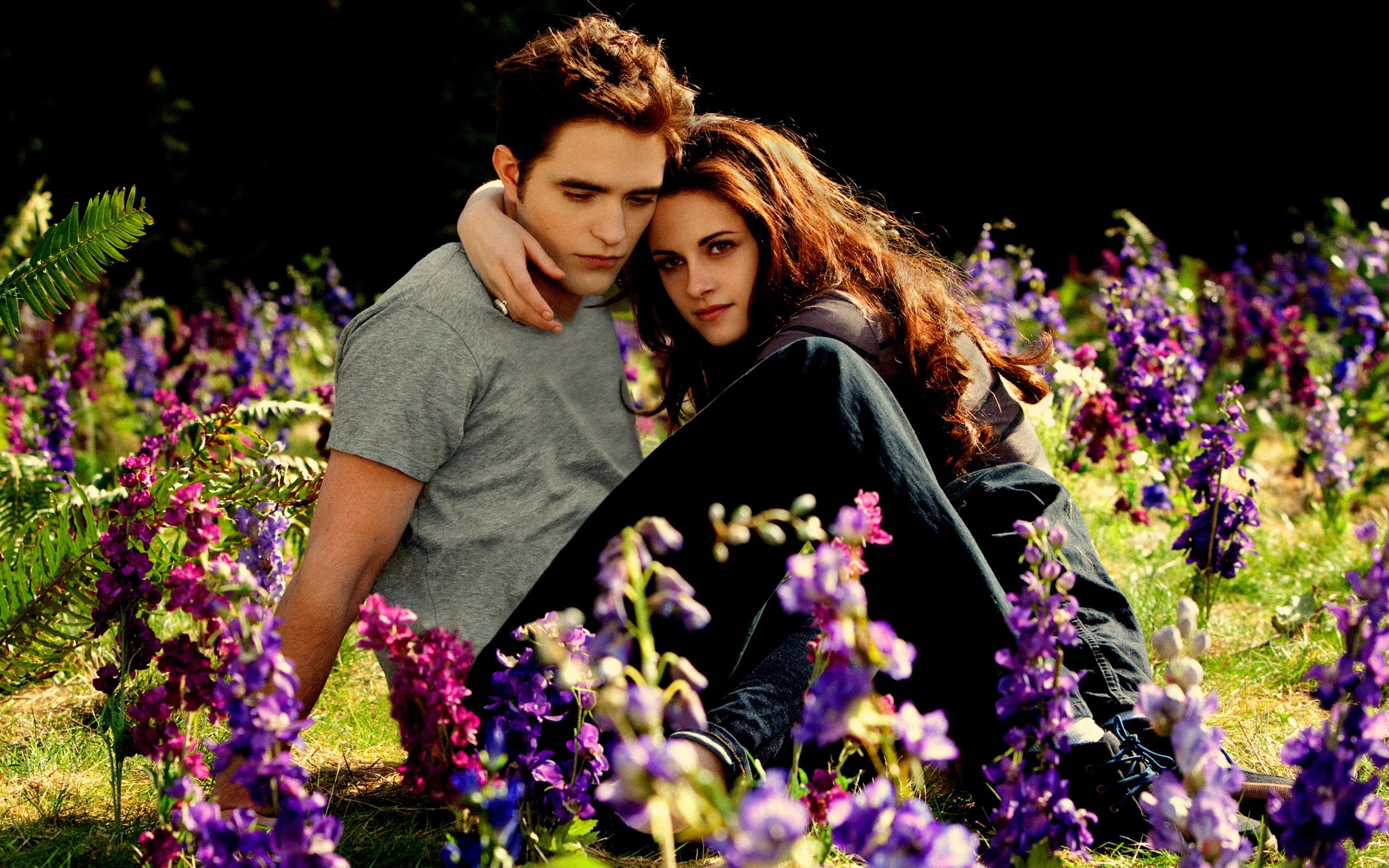 Скачать обои поляна, Kristen Stewart, Robert Pattinson, beautiful, влюблённ...