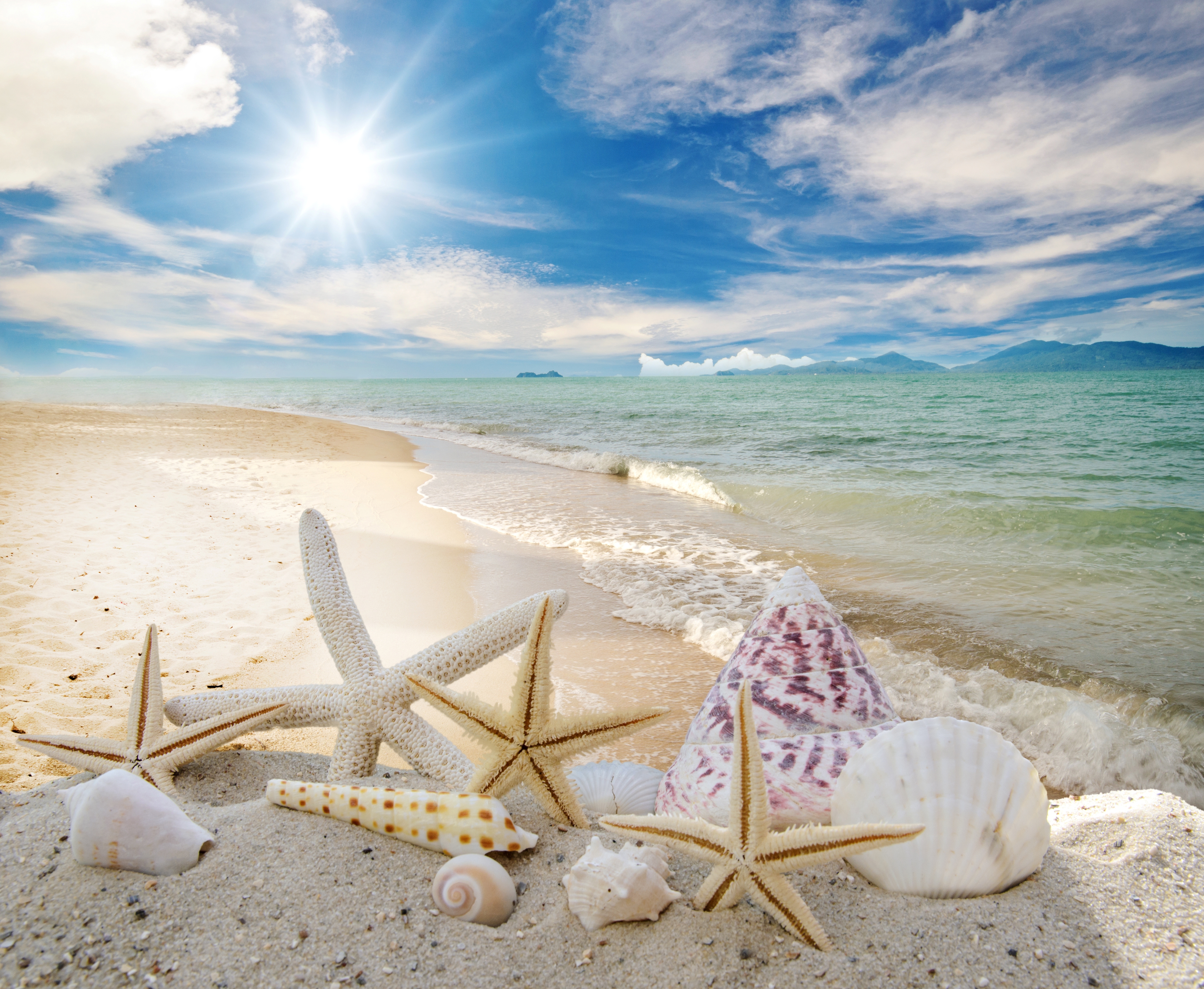 Обои для рабочего стола. песок, море, пляж, солнце, звезды, ракушки, summer...