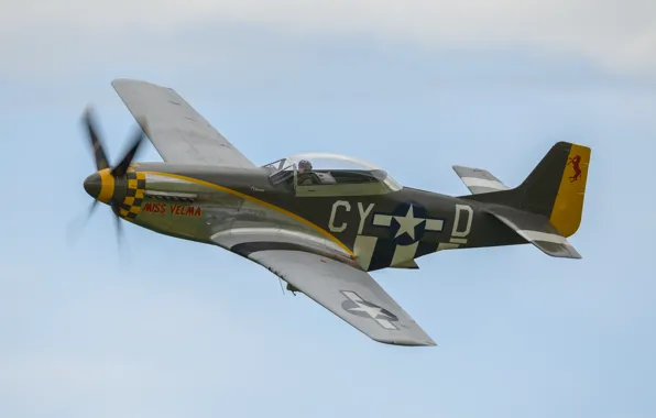 Картинка Mustang, истребитель, P-51D, одноместный