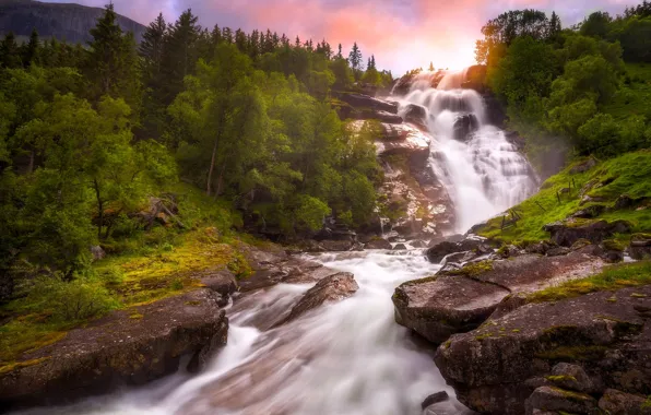 Картинка деревья, река, водопад, Норвегия, Norway