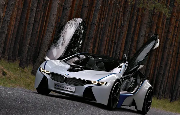 Картинка Concept, BMW, концепт, Vision, красивый, передок, мощный, EfficientDynamics