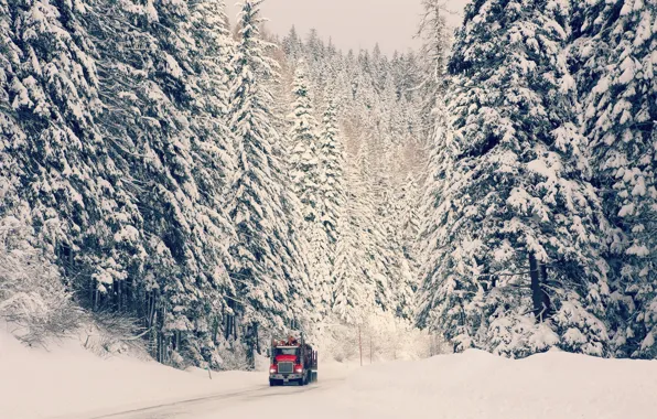 Картинка зима, дорога, машина, лес, снег