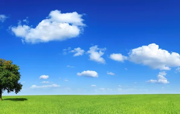 Картинка поле, облака, дерево, горизонт, 153