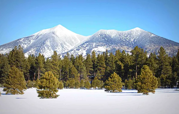 Картинка зима, лес, небо, снег, деревья, горы, природа, вершина