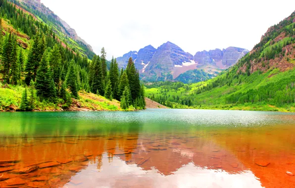 Картинка лес, вода, горы, озеро, камни, скалы, дно, ущелье, США, Colorado, Maroon Bells