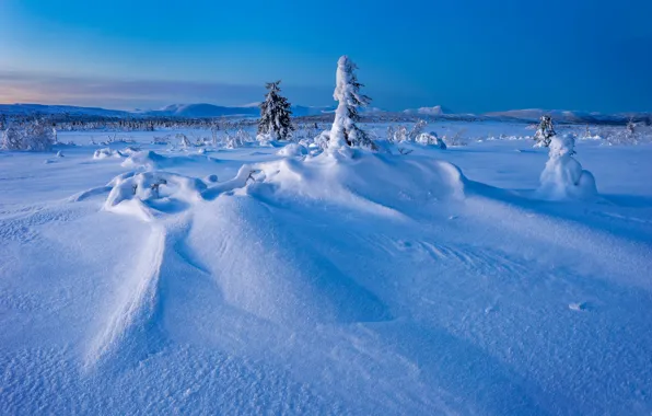 Картинка зима, снег, деревья, сугробы, Швеция, Sweden, Lapland, Лапландия, Gitsfjallets nature reserve