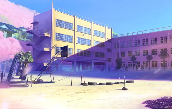 Картинка япония, здания, лепестки, сакура, арт, розовые, школа, 5 сантиметров в секунду, Макото синкай, площадка, цветущая, …
