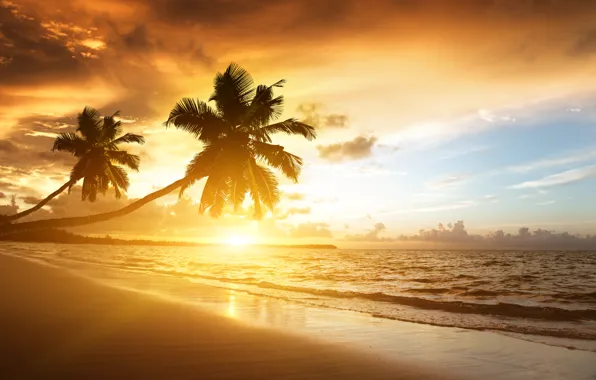 Картинка пляж, небо, облака, пейзаж, природа, пальмы, океан, берег, beach, восход солнца, sky, sea, landscape, nature, …