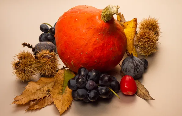 Картинка осень, листья, ягоды, плоды, тыква, натюрморт