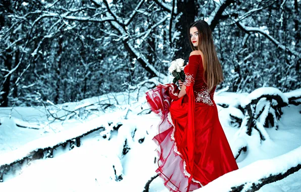 Картинка зима, лес, девушка, снег, розы, букет, платье, в красном, Cold Red