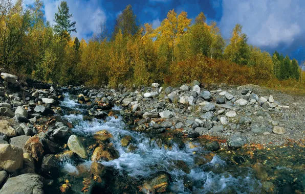 Картинка осень, небо, листья, деревья, ручей, камни
