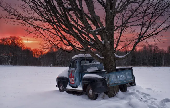 Картинка зима, снег, закат, дерево, Канада, Онтарио, Canada, пикап, Ontario, 1951 Ford F1