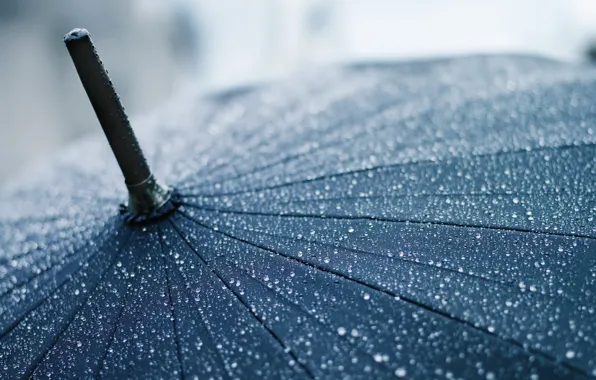 Картинка капли, макро, зонтик, дождь, зонт