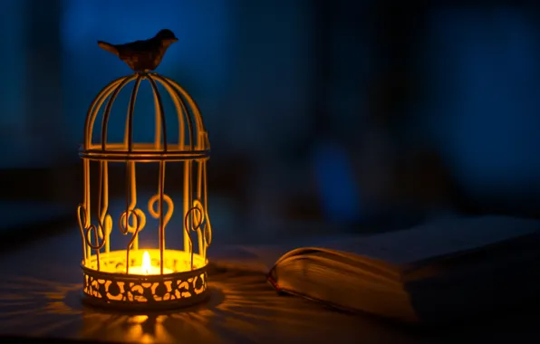 Картинка свет, птица, свеча, фонарик, фонарь, тени, книга