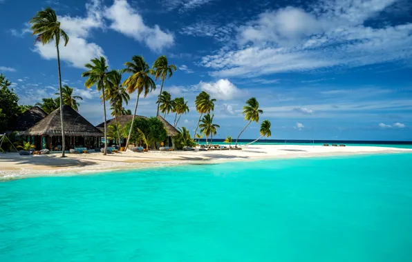 Картинка песок, море, небо, облака, тропики, пальмы, побережье, горизонт, Мальдивы, бунгало