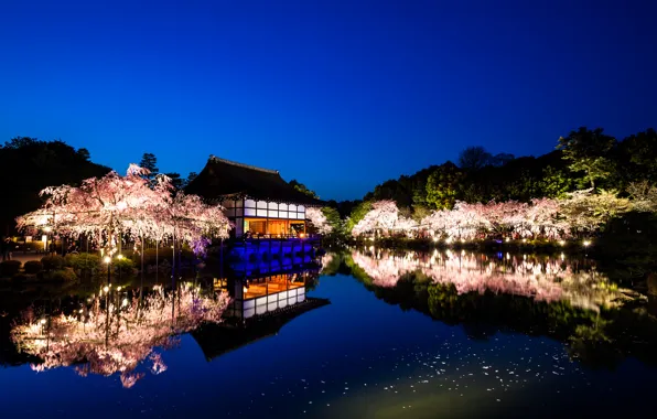 Картинка вода, деревья, пейзаж, природа, отражение, вечер, Япония, сакура, Киото, сады, Храм Хэйан