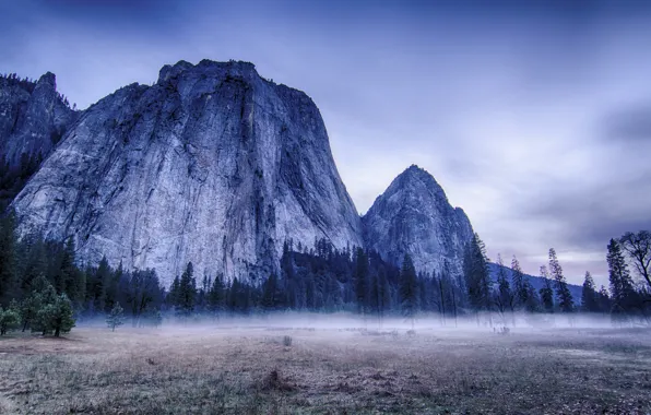 Картинка деревья, пейзаж, горы, природа, туман, USA, США, Йосемити, Yosemite National Park