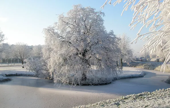 Картинка зима, иней, снег, деревья, парк, река, Природа