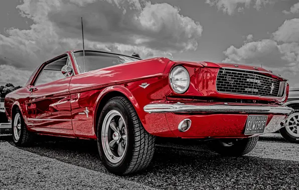 Картинка Mustang, Ford, передок, 1966