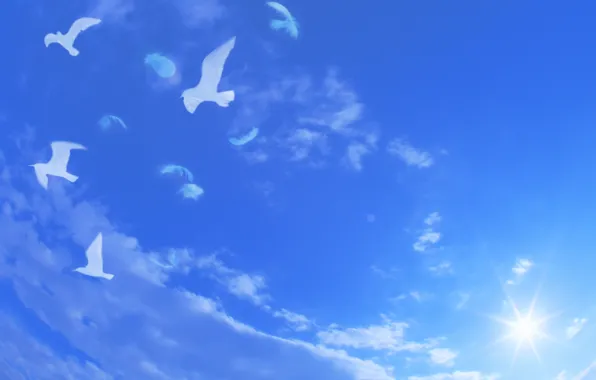 Картинка небо, облака, полет, пейзаж, голубое, перья, голуби, белые