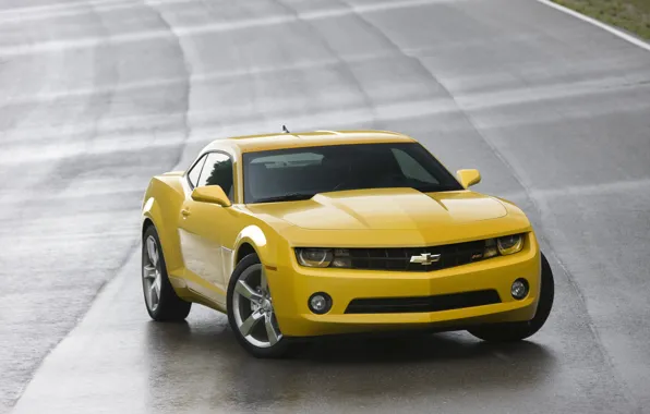 Картинка желтый, Chevrolet, Camaro