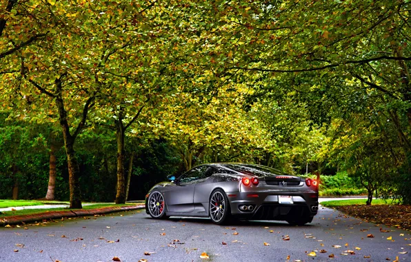 Картинка Ferrari, Green, Autumn, Tuning, asphalt, Silver, 430, Wheels, Trees, Leaf