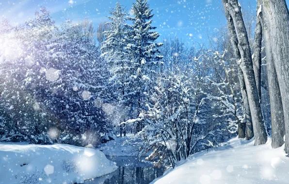 Картинка зима, лес, небо, вода, солнце, снег, деревья, снежинки, блики, голубое, сугробы, речка