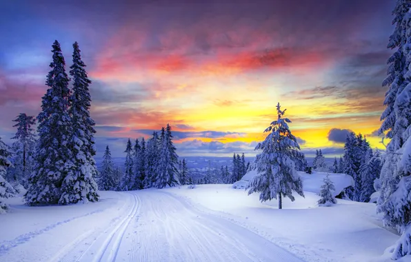 Картинка зима, дорога, лес, небо, облака, снег, деревья, закат, горы, следы, природа, елки, Норвегия