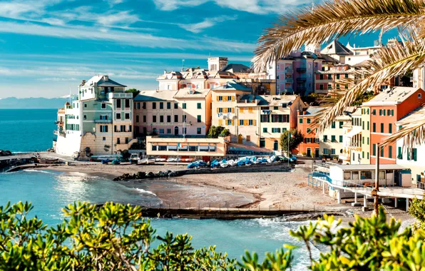 Картинка море, деревья, пейзаж, природа, берег, побережье, здания, дома, лодки, причал, Италия, Italy, Cinque Terre, Чинкве-Терре