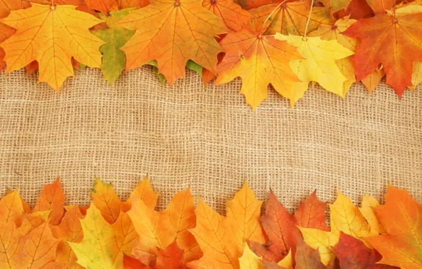 Картинка осень, листья, яркие краски, прожилки