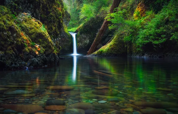 Картинка осень, лес, река, водопад, Орегон, США, штат, Сентябрь