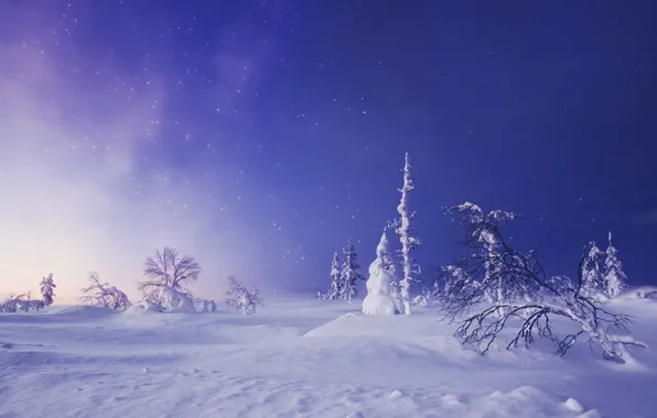 Картинка зима, снег, деревья, сугробы, Финляндия, Finland, Lapland, Лапландия, звёздное небо