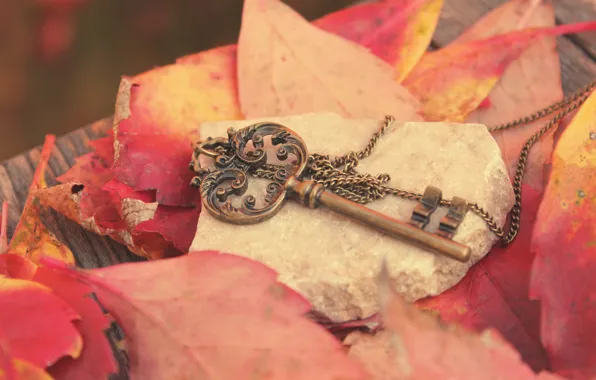 Картинка осень, листья, металл, камень, ключ, красные, доска, цепочка