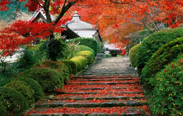 Картинка осень, Япония, сад