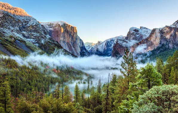 Картинка лес, снег, деревья, горы, туман, скалы, красота, Калифорния, ущелье, США, Национальный парк Йосемити, Yosemite National …