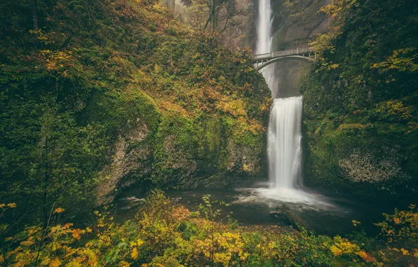 Картинка осень, мост, скала, водопад, Орегон, Oregon, Columbia River Gorge, водопад Малтнома, Benson Bridge, Multnomah falls, …
