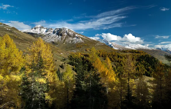 Картинка осень, деревья, горы, Австрия, Альпы, Austria, Alps, Salzburg, Зальцбург, Zell am See, Целль-ам-Зе