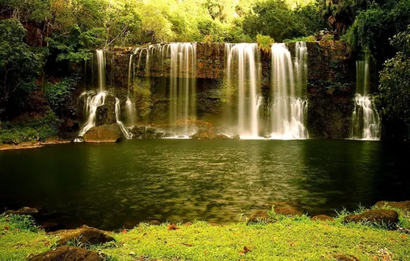 Картинка лес, вода, природа, водопад, nature, waterfall