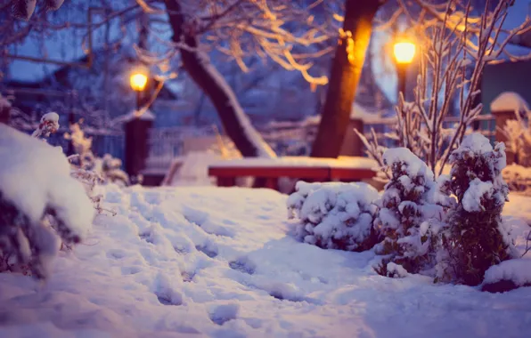 Картинка зима, снег, деревья, следы, природа, освещение, двор, фонари, лавка, кусты