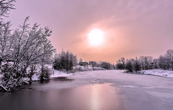 Картинка лед, зима, лес, солнце, облака, снег, река