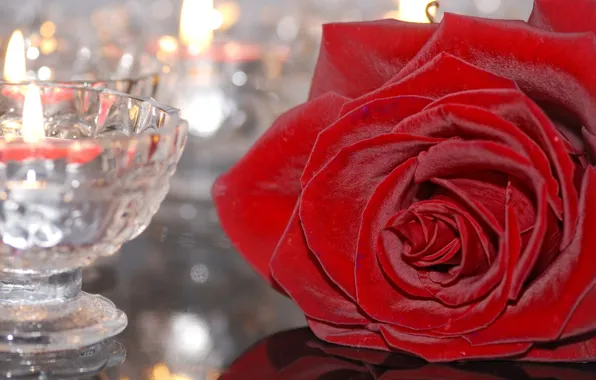Картинка цветок, стекло, роза, свеча, подсвечник, бордовая