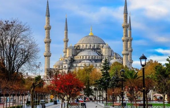 Картинка деревья, фонари, сквер, Стамбул, Мечеть Султана Ахмета, Турция, Istanbul, Turkey, Голубая мечеть, Blue Mosque, Sultan …